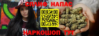 твердый Бийск