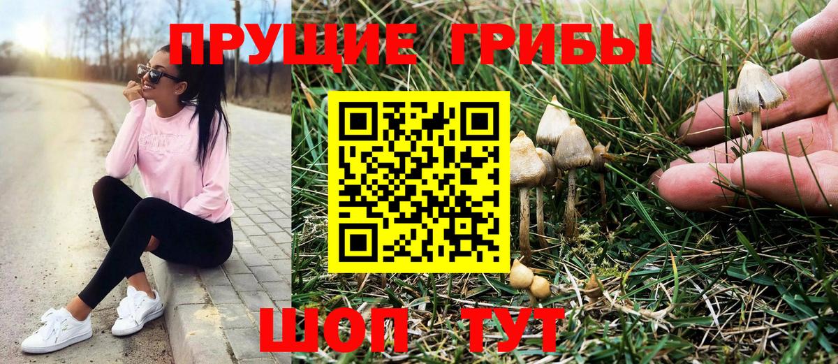 Златоуст  Псилоцибиновые грибы Psilocybine cubensis  Вход с VPN 